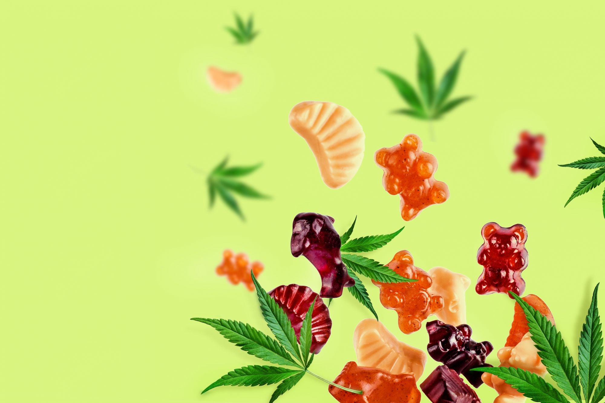 Pain Begone: Ranking the Live Resin Gummies for Wellness